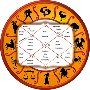 Vedic Astrologer